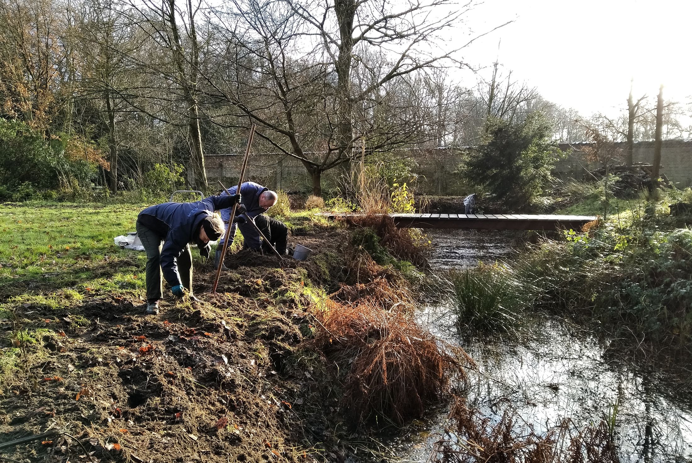 Vrijwilligers werken samen in het domein